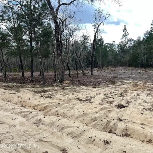 205 London Avenue, Interlachen, FL 32148