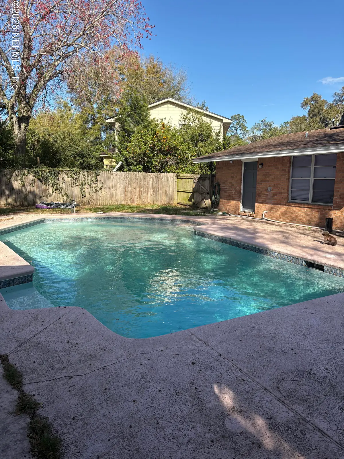 1154 Hickory Cove, Jacksonville, FL 32221 - #1