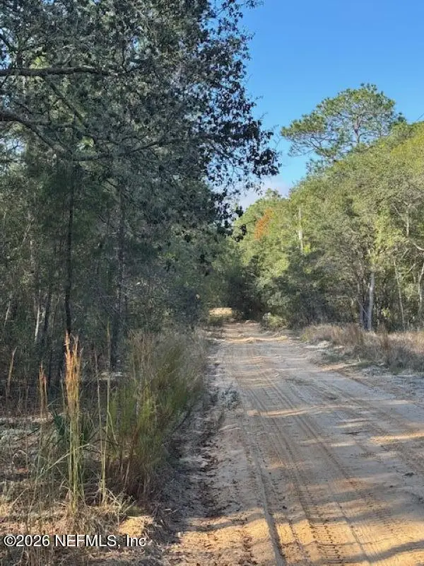 113 Grove Street, Welaka, FL 32112 - #1