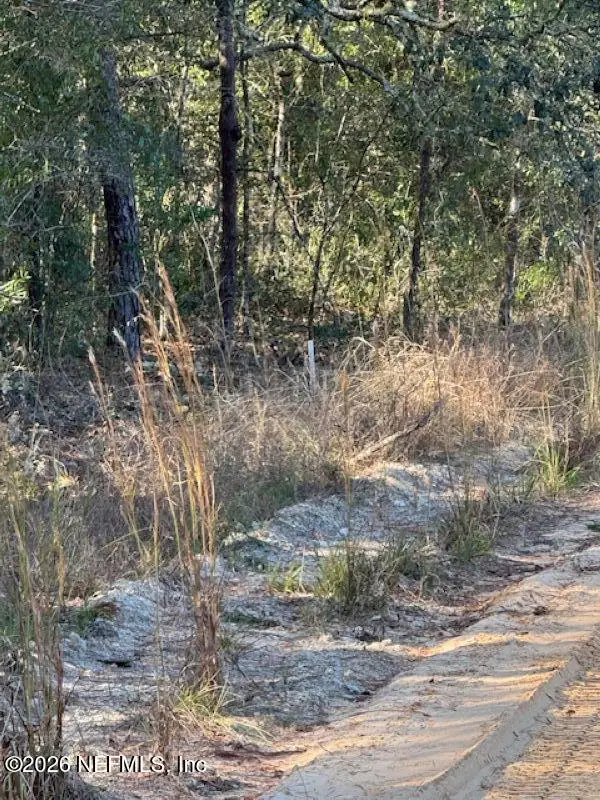 113 Grove Street, Welaka, FL 32112 - #2