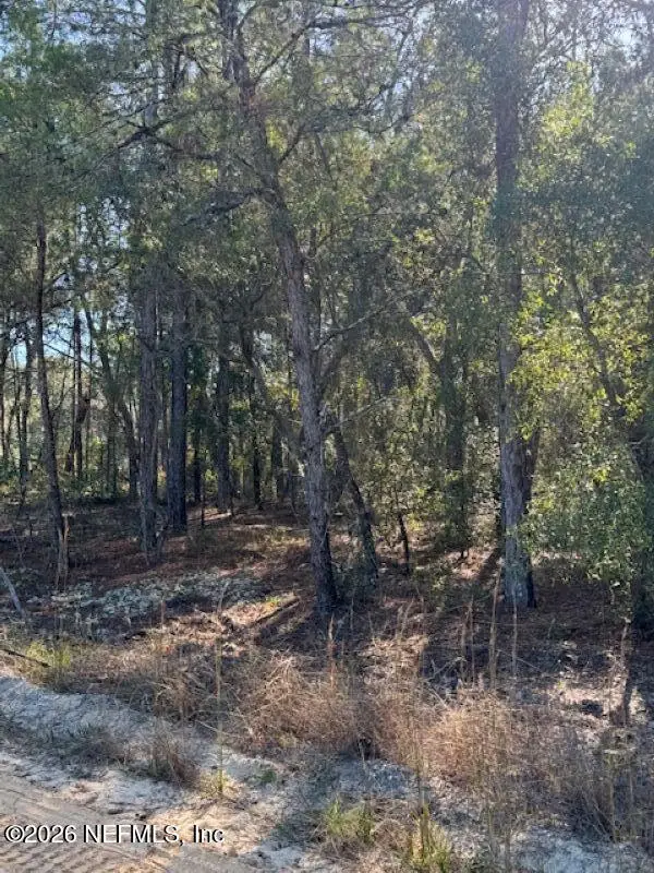 113 Grove Street, Welaka, FL 32112 - #3