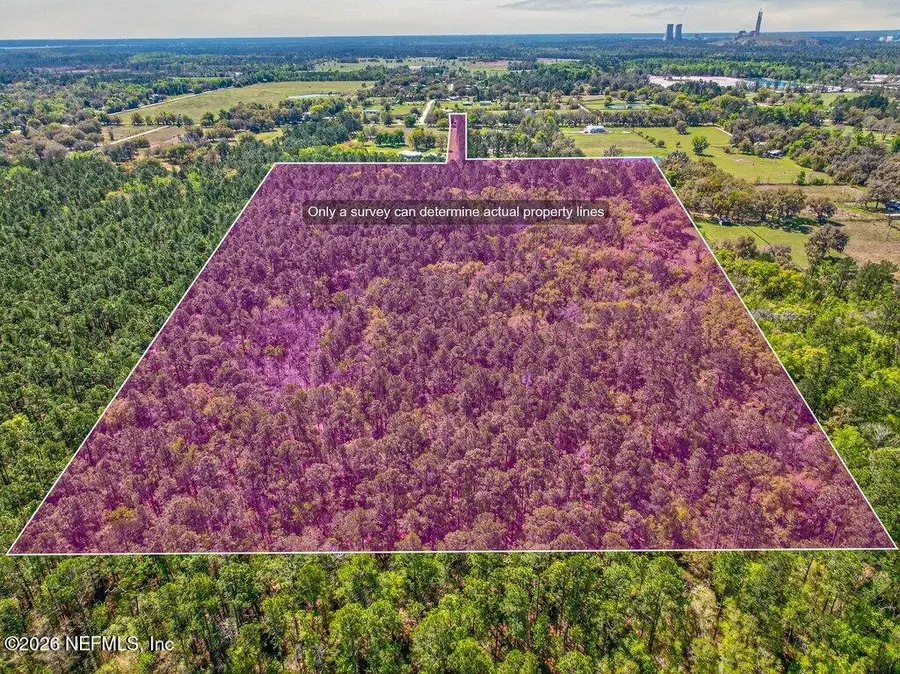 308 Palmetto Bluff Road, Palatka, FL 32177 - #2