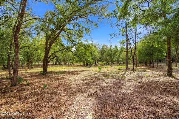 TBD Old Welaka (parcel A) Road, Welaka, FL 32193