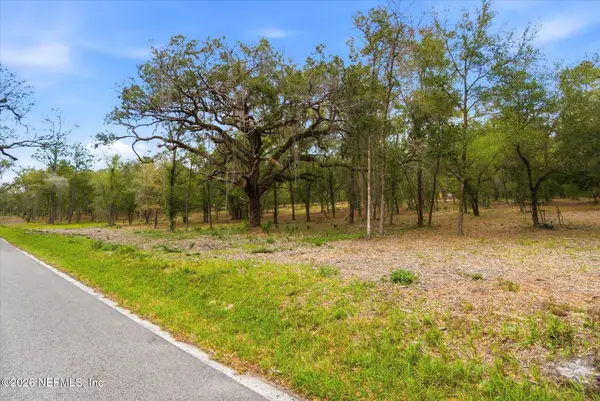 TBD Old Welaka (parcel B) Road, Welaka, FL 32193