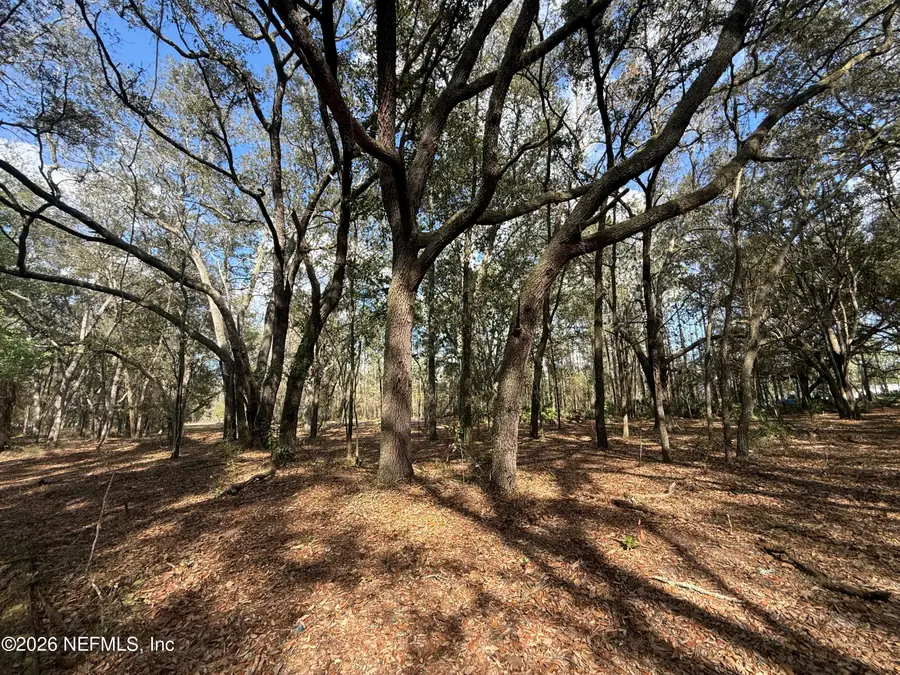 9094 SE 50th Avenue, Hampton, FL 32044 - #3