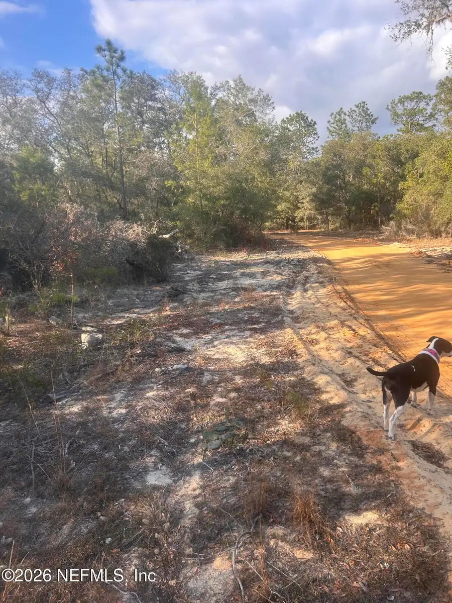 0 West Lake Drive, Hawthorne, FL 32640 - #2