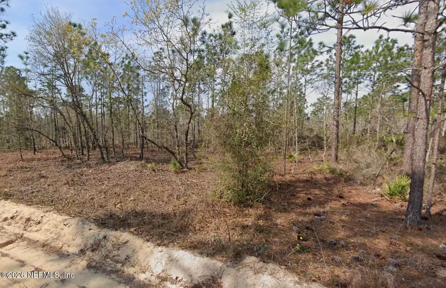 135 Miami Street, Interlachen, FL 32148 - #3