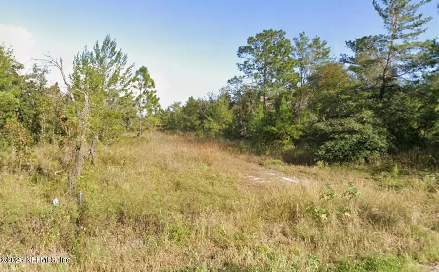 0 Cypress Trail, Interlachen, FL 32148 - #2