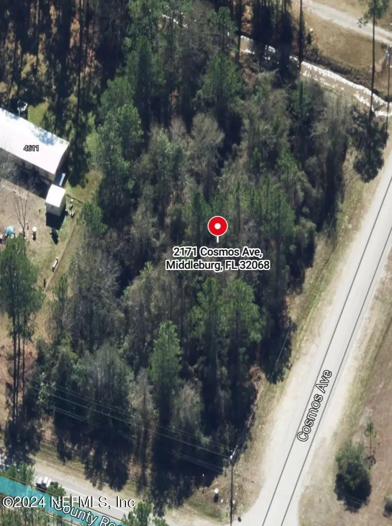 2171 Cosmos Avenue, Middleburg, FL 32068 - #2