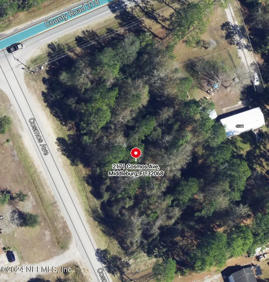 2171 Cosmos Avenue, Middleburg, FL 32068 - #3