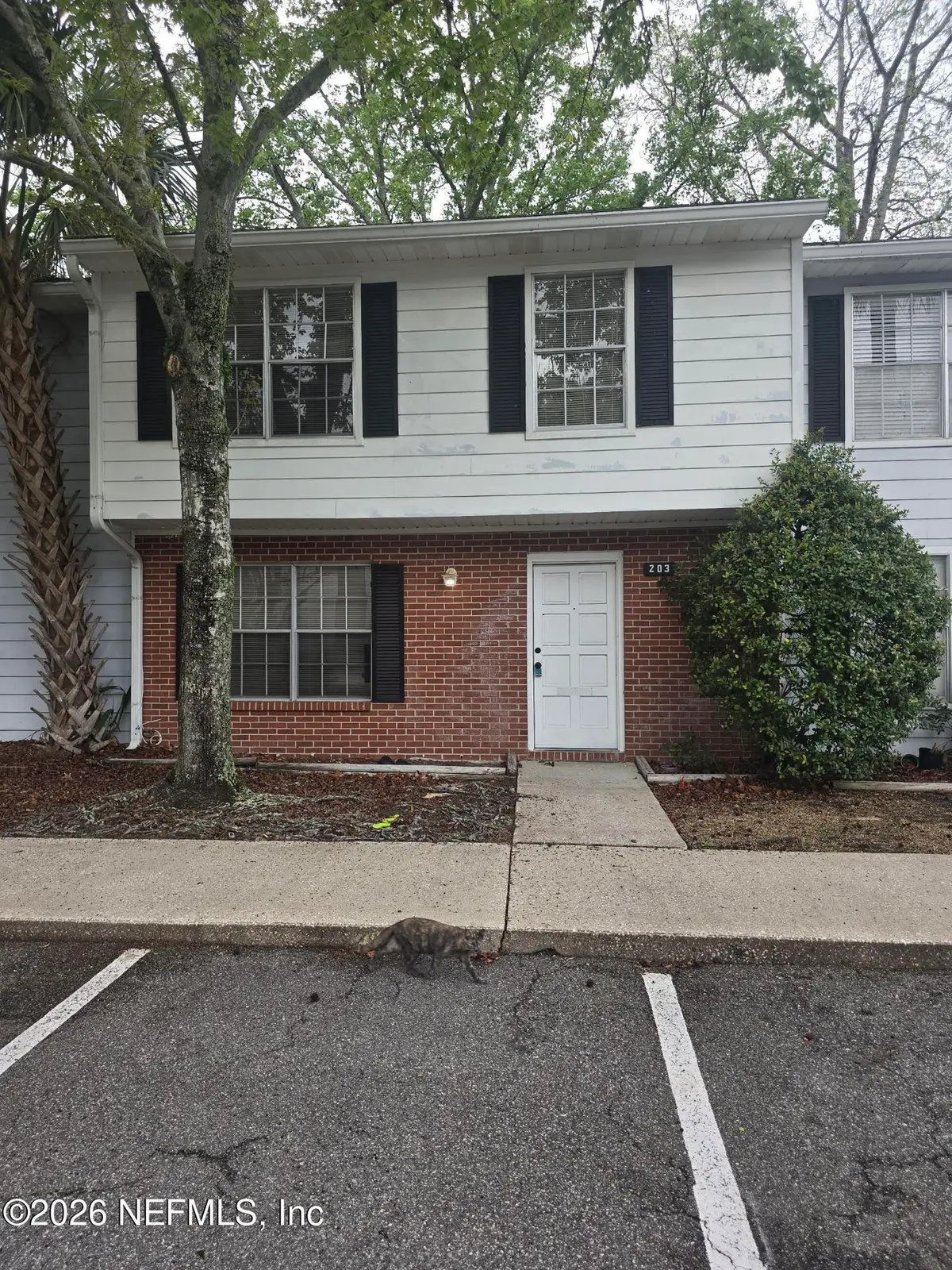 203 Kettering Court, Orange Park, FL 32073 - #1