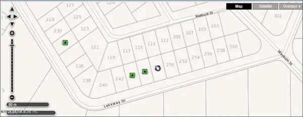 248 Lakeway Drive, Georgetown, FL 32139