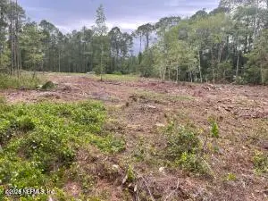 348 Georgetown Denver Road, Georgetown, FL 32139 - #1