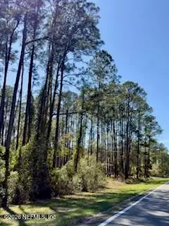 251 Georgetown Denver Road, Georgetown, FL 32139 - #1