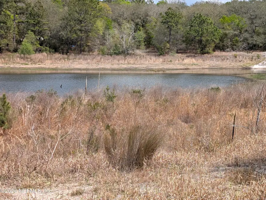 0190 Trout Lake Circle, Interlachen, FL 32148 - #2