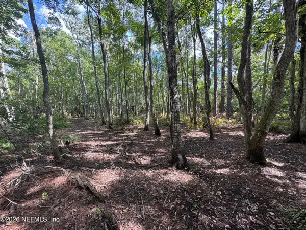 0 Bruen Street, St. Augustine, FL 32084