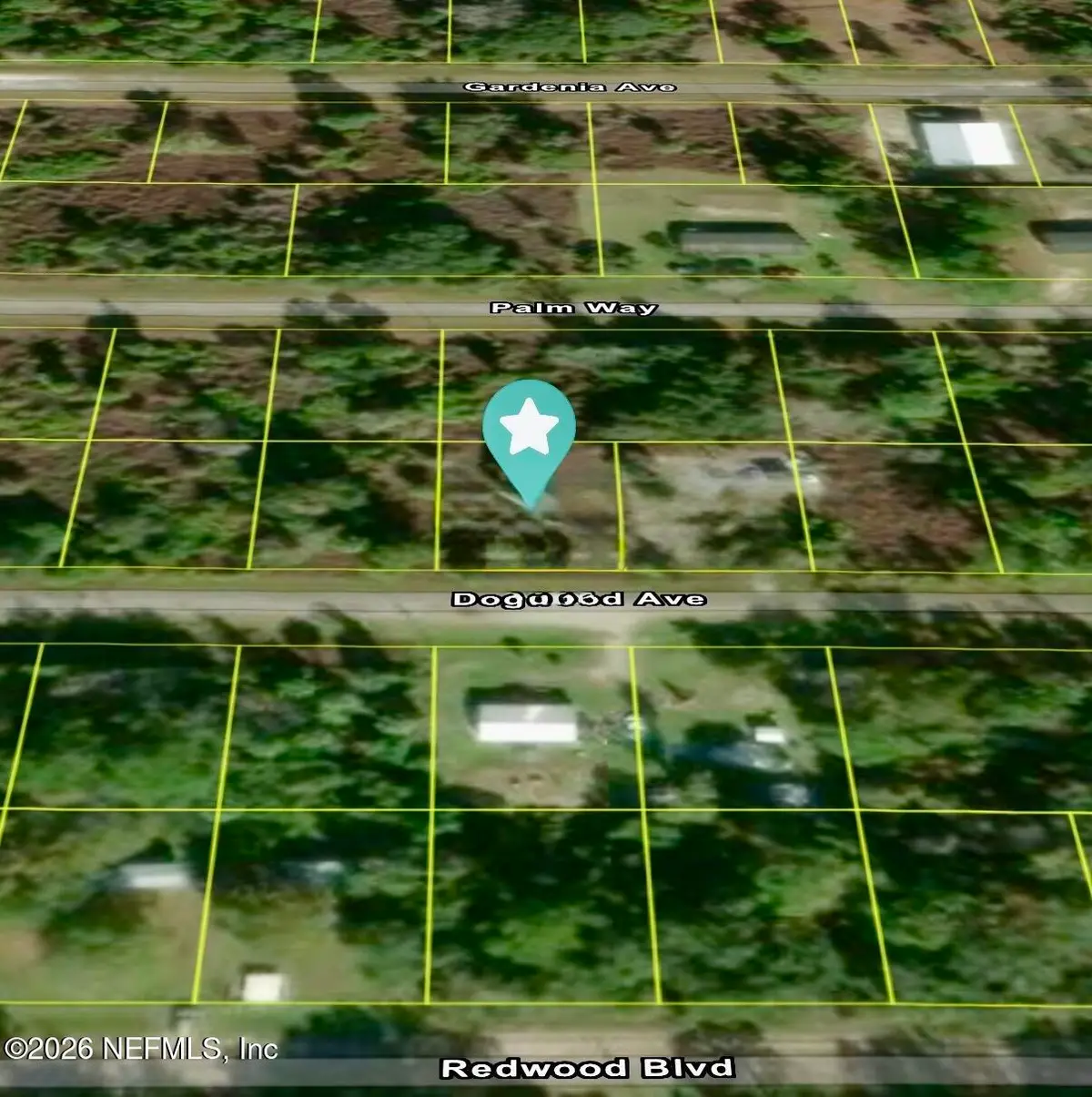 512 Dogwood Avenue, Georgetown, FL 32139 - #1
