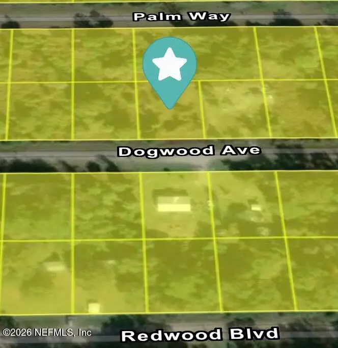 512 Dogwood Avenue, Georgetown, FL 32139 - #2