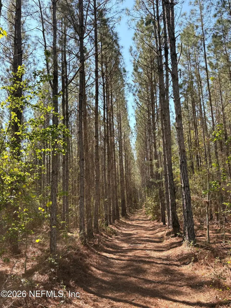 O Lazy Pines Road, Glen Saint Mary, FL 32040 - #2