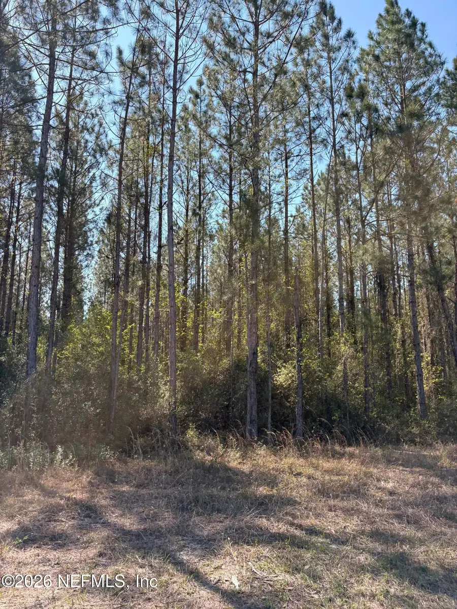 O Lazy Pines Road, Glen Saint Mary, FL 32040 - #3