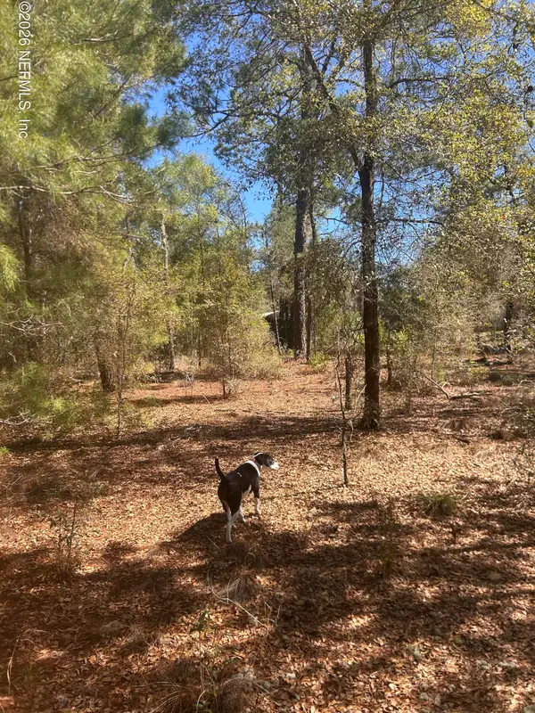 0 Honeysuckle Trail, Hawthorne, FL 32640