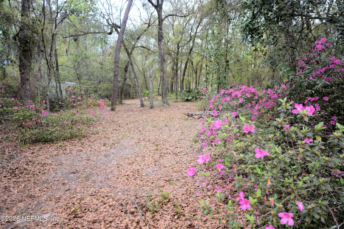 707 Hillsborough Avenue, Florahome, FL 32140 - #1