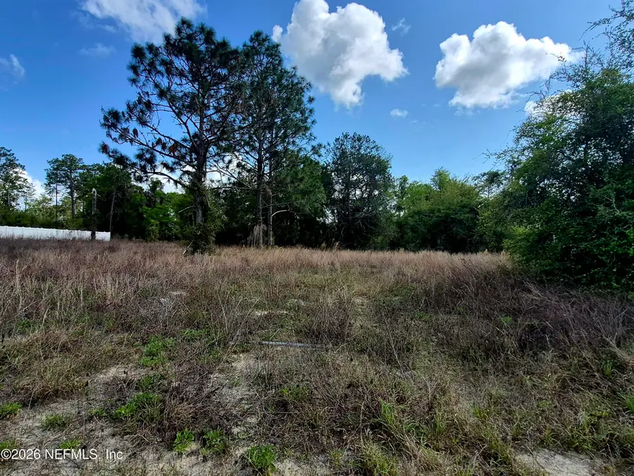 427 River Hill Drive, Welaka, FL 32193 - #2