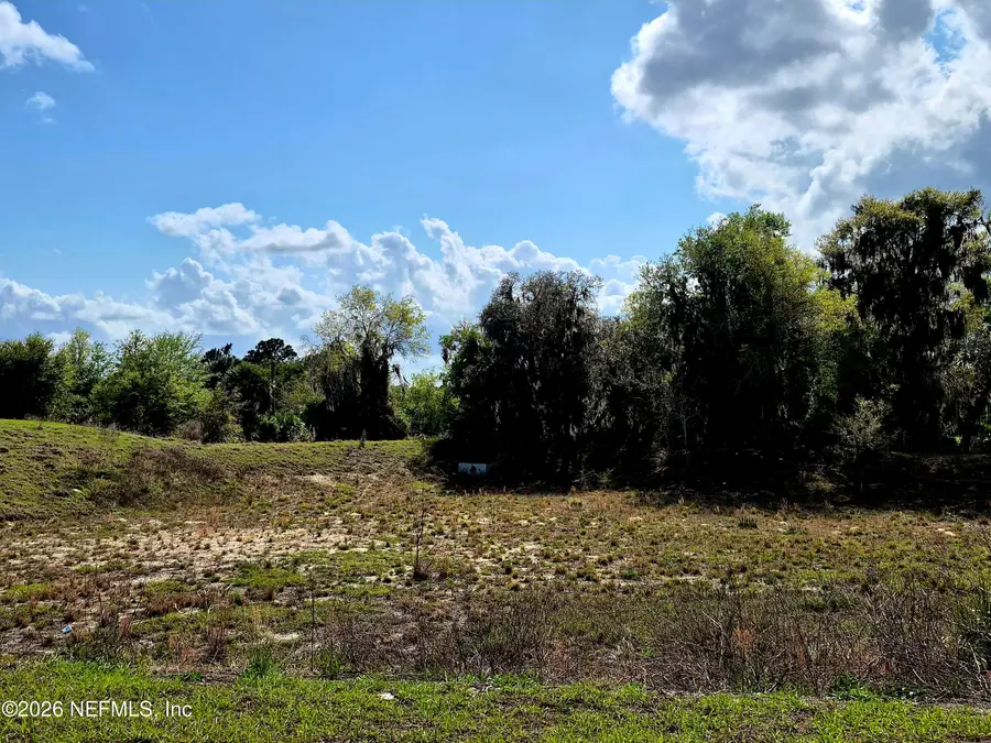 427 River Hill Drive, Welaka, FL 32193 - #3