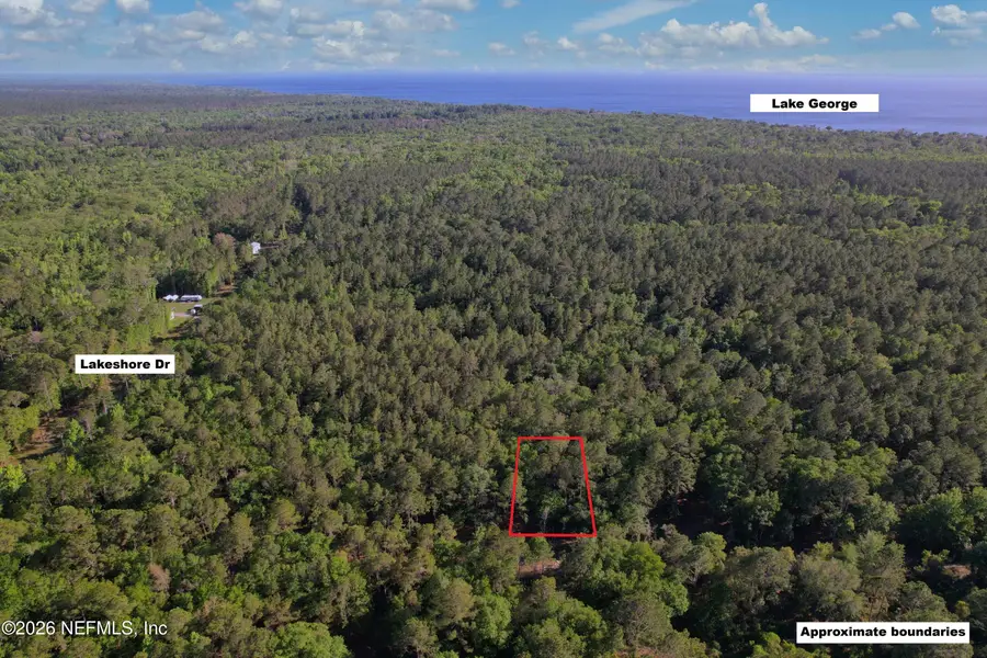 329 Chipola Drive, Georgetown, FL 32139 - #2