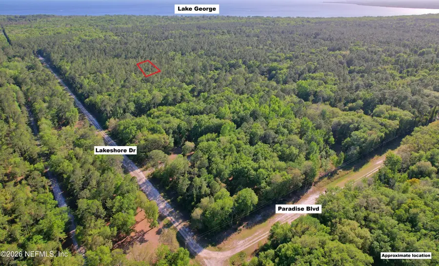 329 Chipola Drive, Georgetown, FL 32139 - #3