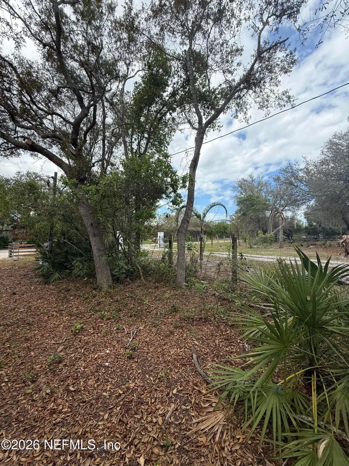 228 Browns Hammock Road, Crescent City, FL 32112 - #1