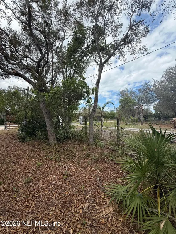 228 Browns Hammock Road, Crescent City, FL 32112