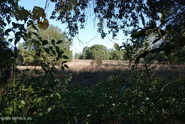 525 Raulerson Road, Seville, FL 32190