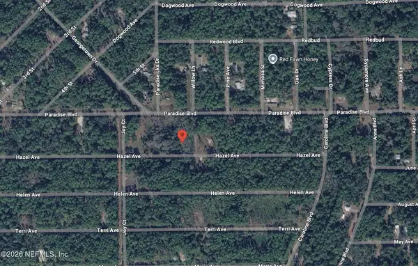 212 Hazel Avenue, Georgetown, FL 32139