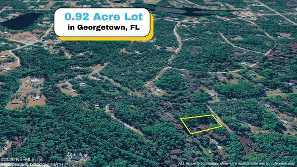 102 Hyacinth Court, Georgetown, FL 32139