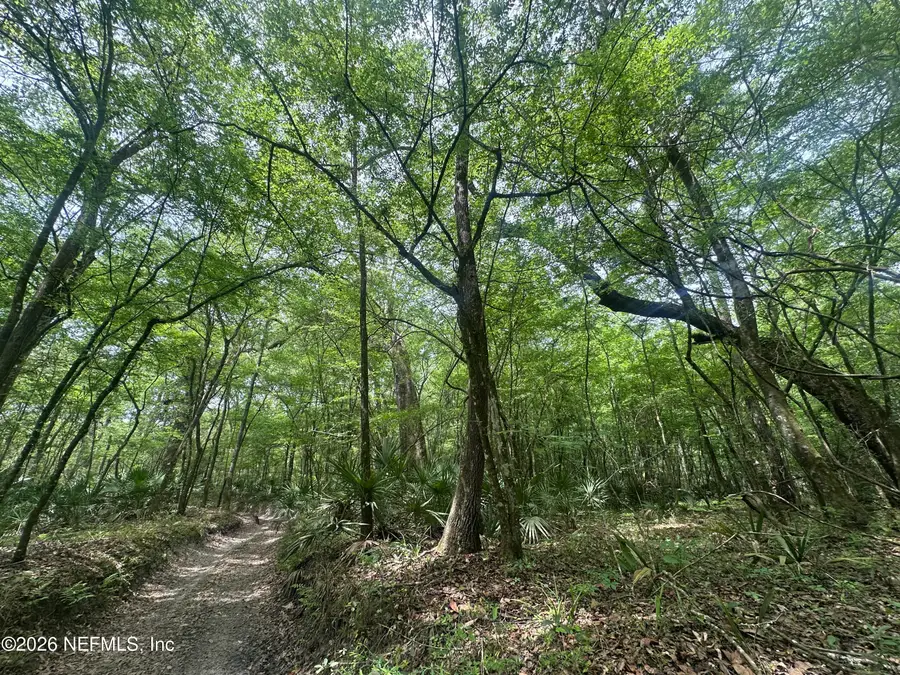 000 Black Creek Drive, Middleburg, FL 32068 - #3