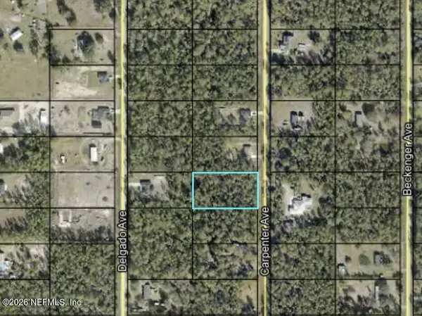 10265 Carpenter Avenue, Hastings, FL 32145