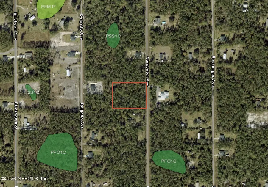 10265 Carpenter Avenue, Hastings, FL 32145 - #3
