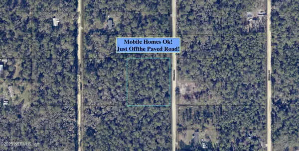 10655 Flikkema Avenue, Hastings, FL 32145