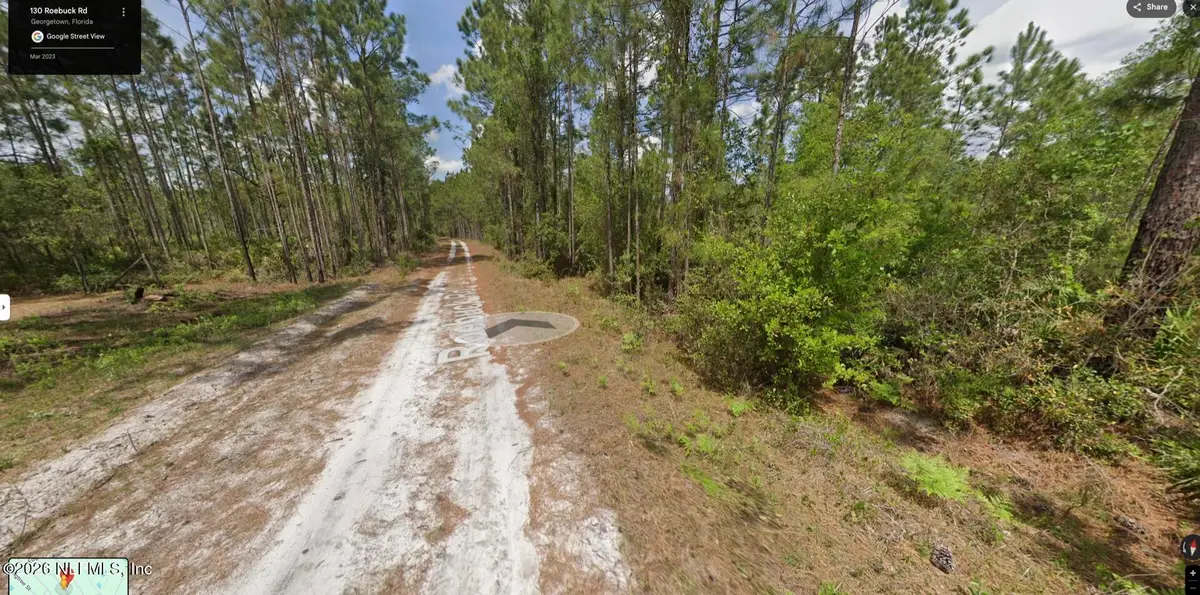 130 Roebuck Street, Georgetown, FL 32139 - #1