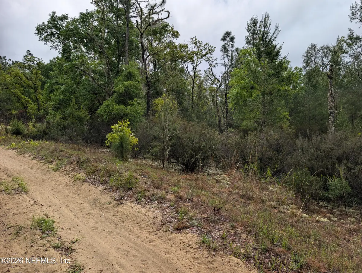 LOT 34- 35 Maltas Avenue, Interlachen, FL 32148 - #1