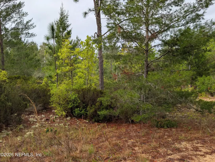 LOT 34- 35 Maltas Avenue, Interlachen, FL 32148 - #2