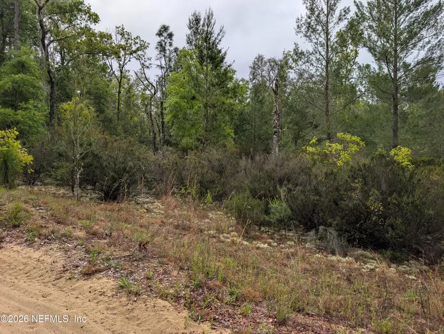 LOT 34- 35 Maltas Avenue, Interlachen, FL 32148 - #3