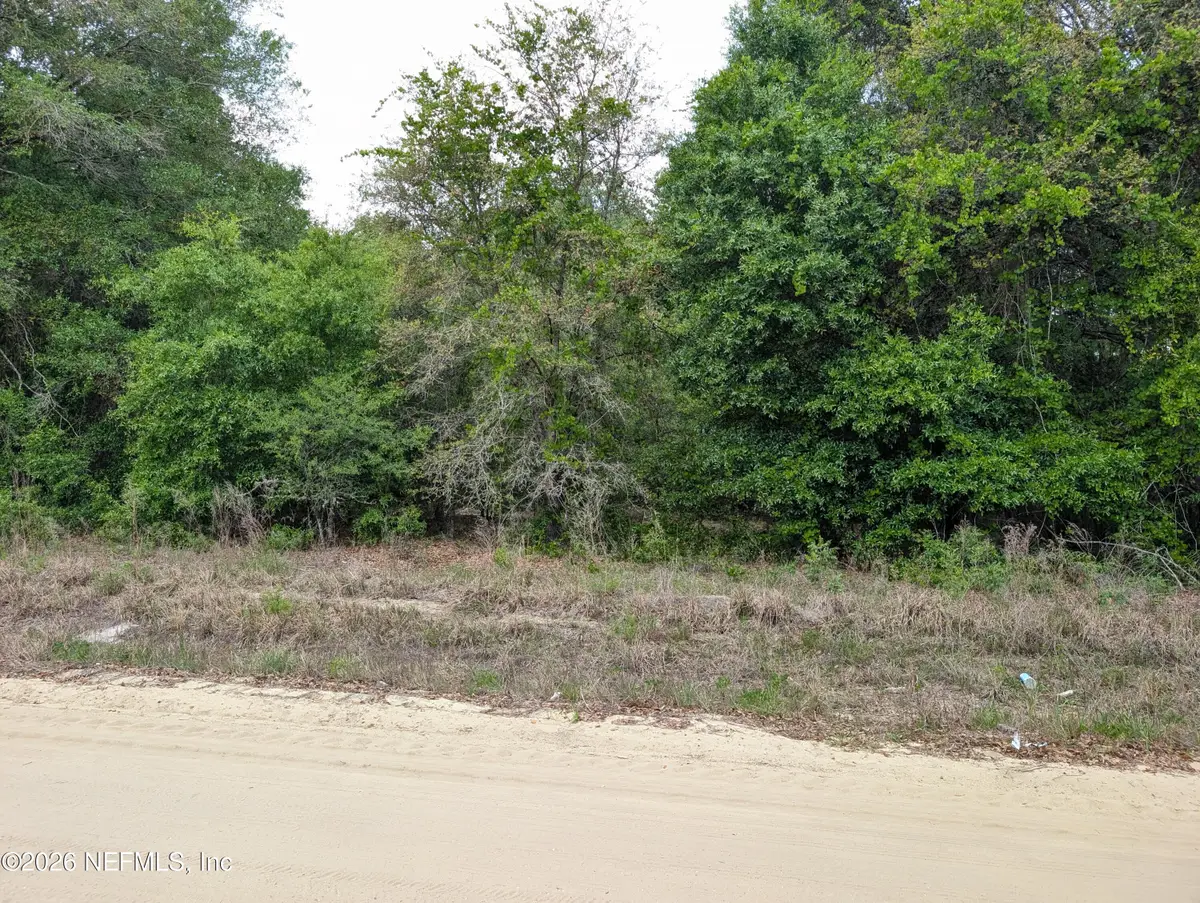 0060 Maltas Avenue, Interlachen, FL 32148 - #1