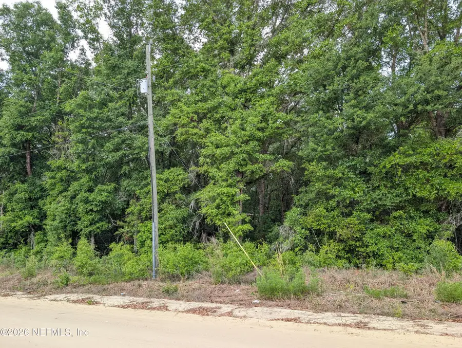 0060 Maltas Avenue, Interlachen, FL 32148 - #3