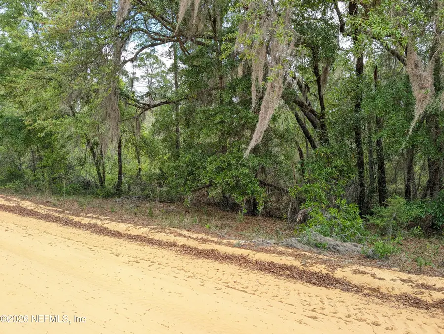 LOTS 19-21 Selma Avenue, Interlachen, FL 32148 - #2