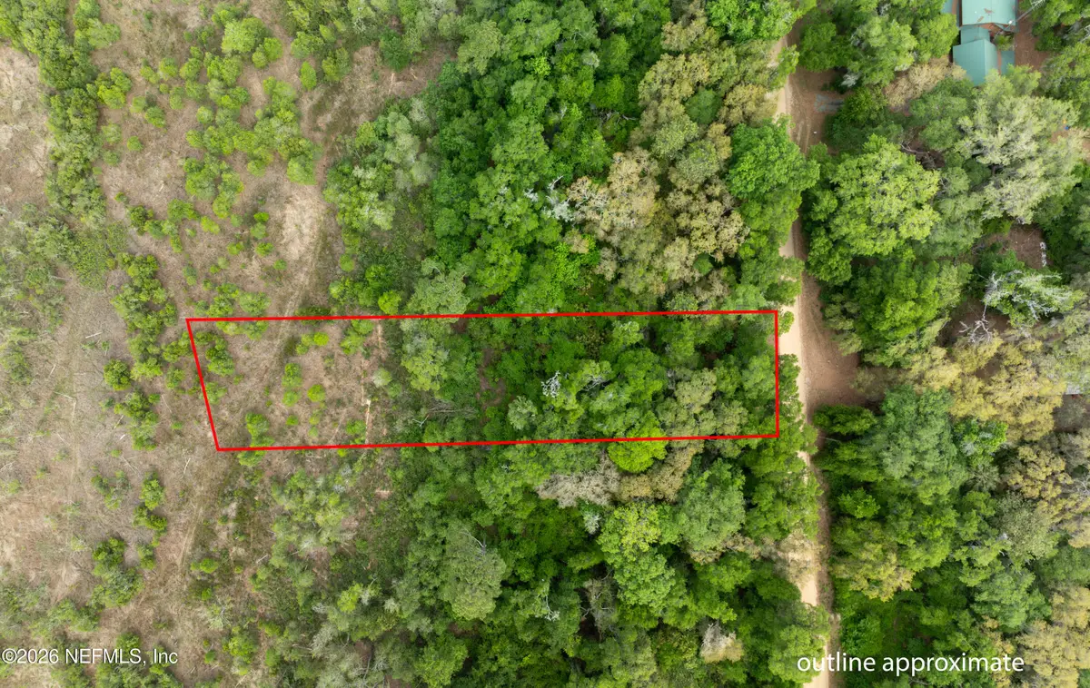 141 Fishermans Drive, Interlachen, FL 32148 - #1