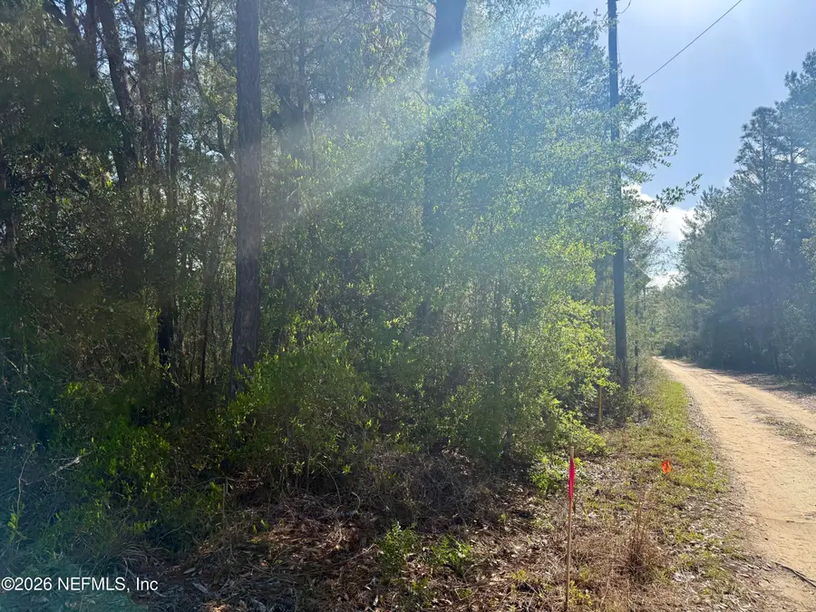 XXX S County Road 315, Interlachen, FL 32148 - #3