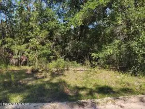 210 Duval Drive, Interlachen, FL 32148 - #1