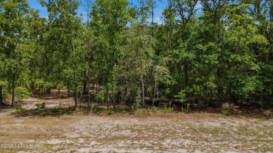 13547 Settindown Drive, Bryceville, FL 32009 - #2